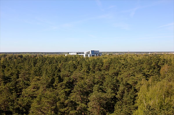 025-Дзинтари, лесопарк, башня